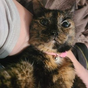 Meet your Posher, Gene